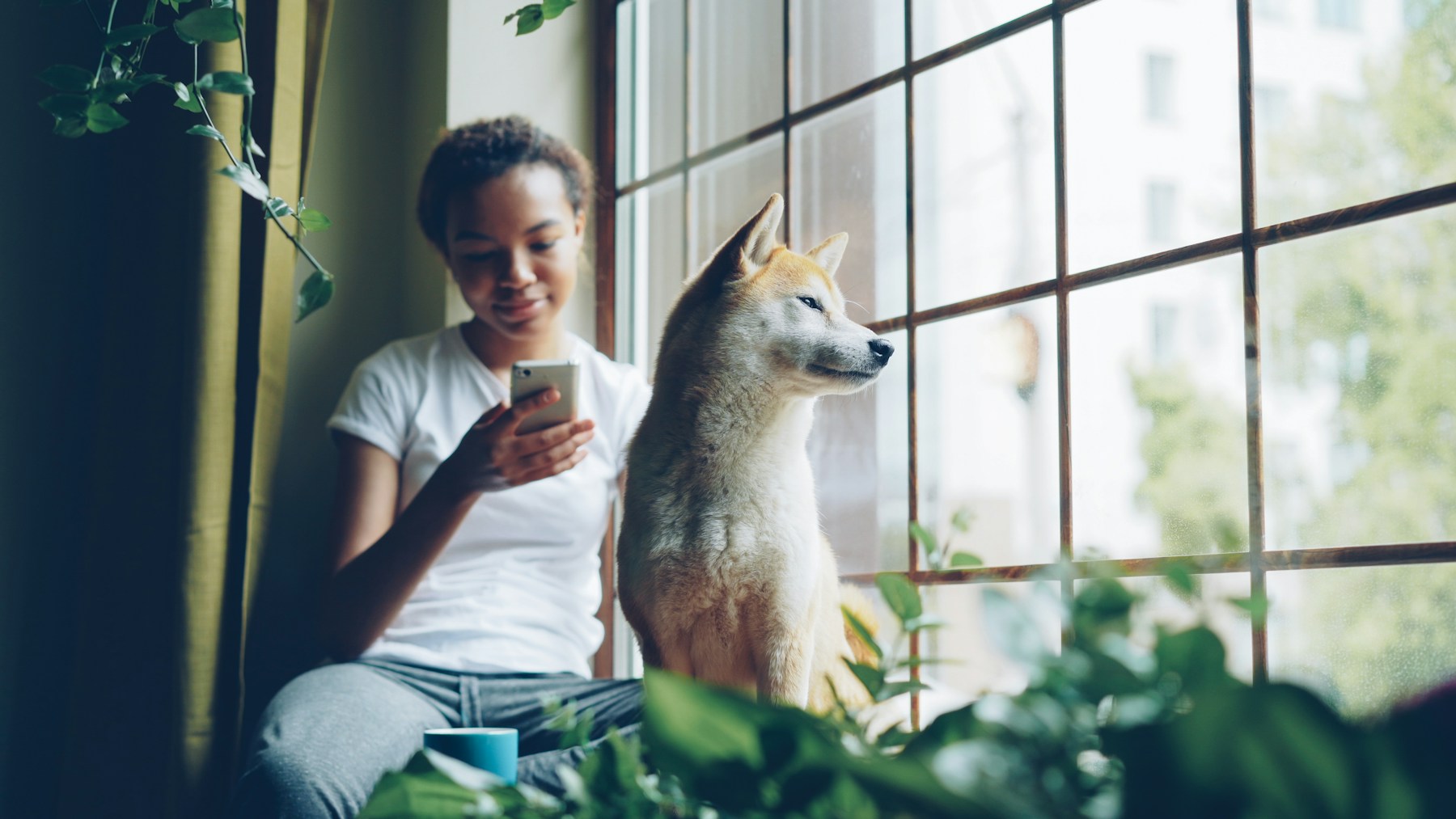 Dog owner using a smartphone at home
